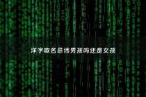 洋字取名忌讳男孩吗还是女孩 - 洋字取名男孩有寓意