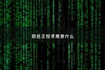 取名王悦李寓意什么 - 王悦这个名字的含义
