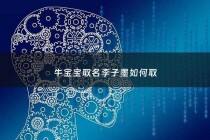 牛宝宝取名李子墨如何取 - 李子墨名字怎么样