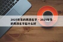 2025年生的男孩名字 - 2025年生的男孩名字起什么好