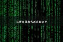 马贾双姓起名怎么起名字 - 马贾双姓起名怎么起名字好听
