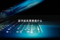 廷字起名寓意是什么 - 廷字名字含义