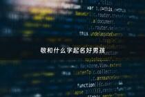 敬和什么字起名好男孩 - 敬字后面跟什么字好听