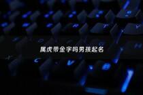 属虎带金字吗男孩起名 - 属虎名字带金字旁好不好