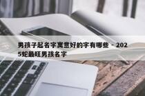 男孩子起名字寓意好的字有哪些 - 2025蛇最旺男孩名字