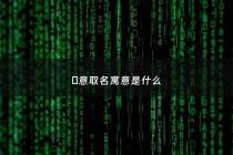 婳意取名寓意是什么 - 榽起名寓意