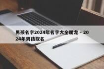 男孩名字2024年名字大全属龙 - 2024年男孩取名