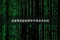 龙宝男宝起名用字可带点字头吗 - 龙宝宝男孩起名大全