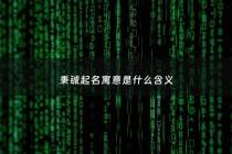 秉铖起名寓意是什么含义 - 秉字作为名字的寓意