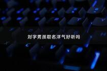 刘字男孩取名洋气好听吗 - 用刘起名字男孩的