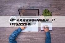 2023年男兔宝宝取名字最佳字 - 2023年兔宝宝男孩