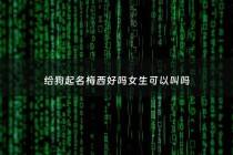 给狗起名梅西好吗女生可以叫吗 - 梅西这个名字的含义
