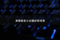 宠物取名小白猫好听吗男 - 宠物取名小白猫好听吗男生