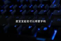 鼠宝宝起名可以用誉字吗 - 鼠宝宝起名可以用誉字吗女孩