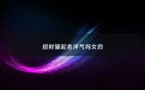 招财猫起名洋气吗女的 - 招财猫好听的名字