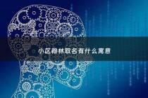小区翰林取名有什么寓意 - 小区翰林取名有什么寓意吗