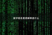 赋字取名寓意解释是什么 - 赋这个字读什么字