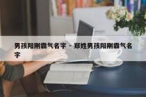 男孩阳刚霸气名字 - 郑姓男孩阳刚霸气名字
