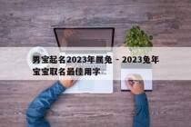 男宝起名2023年属兔 - 2023兔年宝宝取名最佳用字