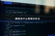 鹏取名什么寓意好听点 - 鹏字取名的意思和含义
