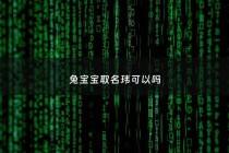 兔宝宝取名玮可以吗 - 玮什么好听名字