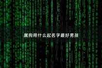 属狗用什么起名字最好男孩 - 属狗的男孩起名用什么字合适?