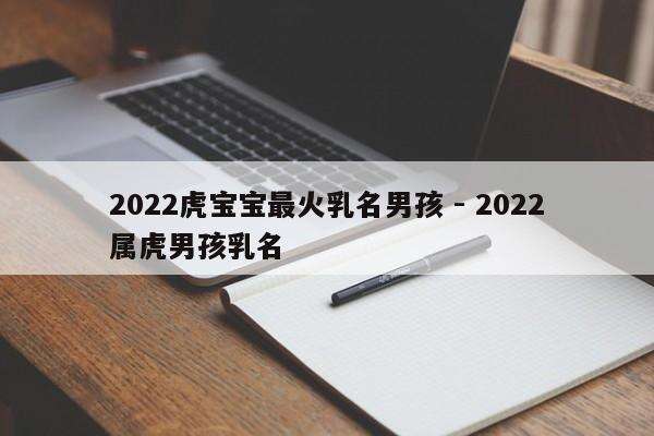 2022虎宝宝最火乳名男孩 - 2022属虎男孩乳名