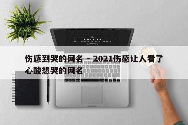 伤感到哭的网名 - 2021伤感让人看了心酸想哭的网名