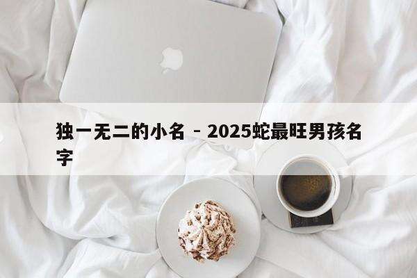 独一无二的小名 - 2025蛇最旺男孩名字