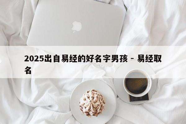 2025出自易经的好名字男孩 - 易经取名