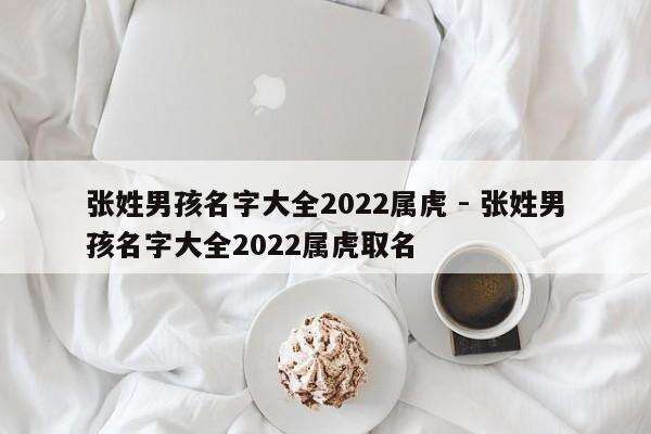 张姓男孩名字大全2022属虎 - 张姓男孩名字大全2022属虎取名