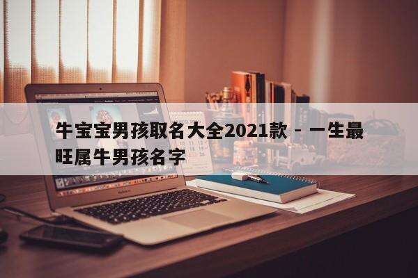 牛宝宝男孩取名大全2021款 - 一生最旺属牛男孩名字